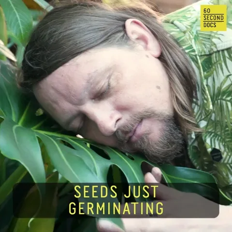 Blooming Plant Life GIF by 60 Second Docs