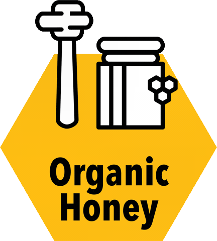 Fizzy Beez Sticker
