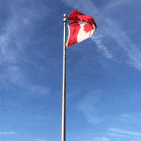 Canada Flag GIF by Casol