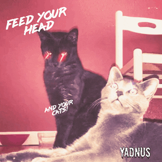 Vintage Cats GIF by YADNUS
