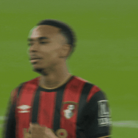 Premier League Football GIF by AFC Bournemouth