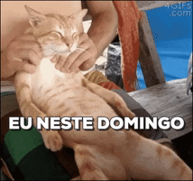 alinegalasso  GIF