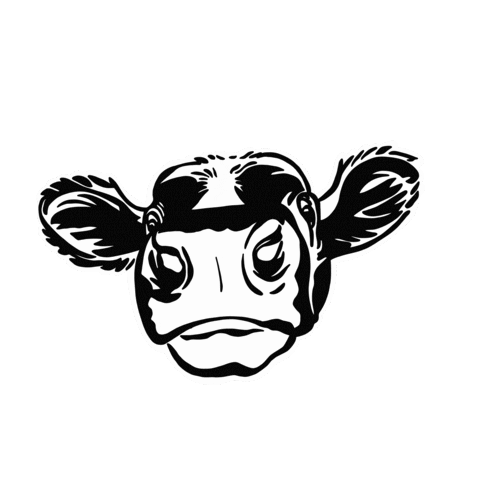Cow Sticker