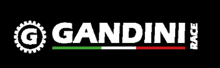 Gandini Race GIF