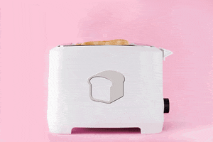 Toast GIF by Bread & Butter Club