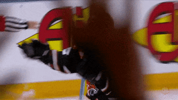 Celebrate Pump Up GIF by Champions Hockey League