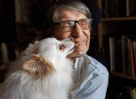 PAWS NY GIF