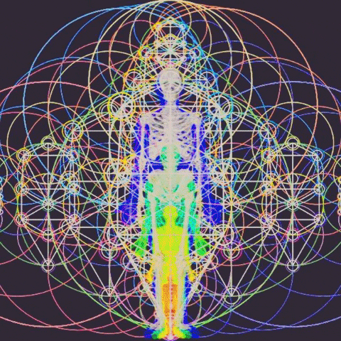 Transformation GIF