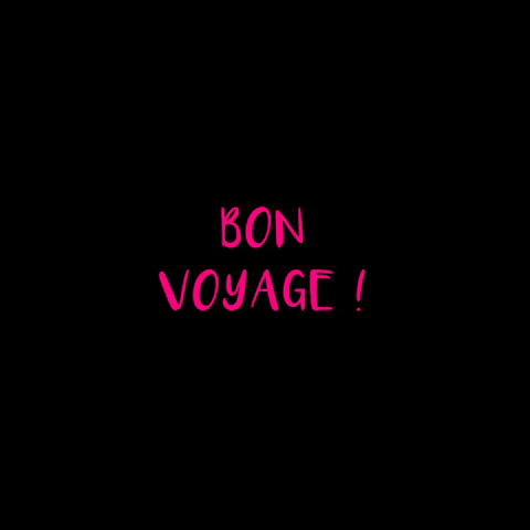 sydneyluggage GIF