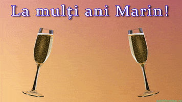 Romania Marin GIF by echilibrultau
