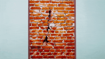 Ninja Searching GIF by Vurr