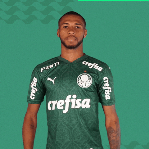 Puma Wesley GIF by SE Palmeiras