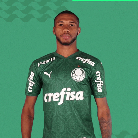 Puma Wesley GIF by SE Palmeiras