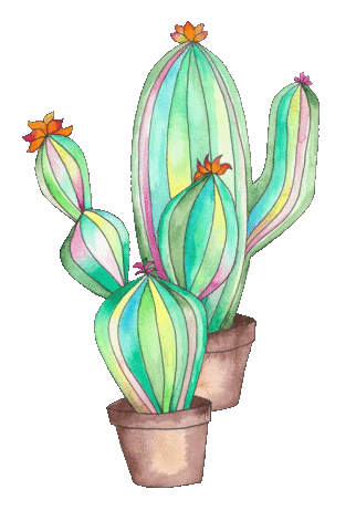 Cactus Sticker