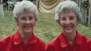 Twin GIFs - Get the best GIF on GIPHY