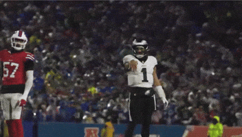 Philadelphia Eagles Go Birds GIF by Stock King Options