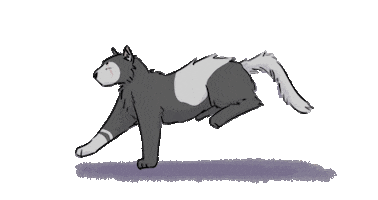 Cat Sticker