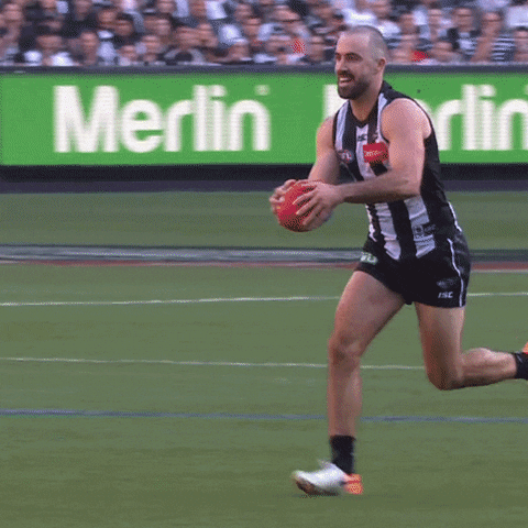 Collingwood Magpies Goal GIF by CollingwoodFC