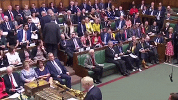 Liberal Democrats Parliament GIF by GIPHY News