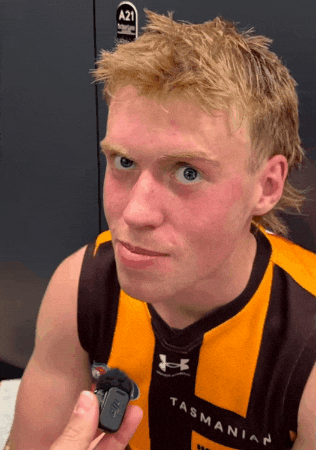 Hawthorn Hawks Afl GIF