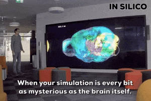 Brain Mystery GIF by Couple 3 Films