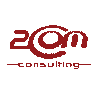 2comconsulting Sticker