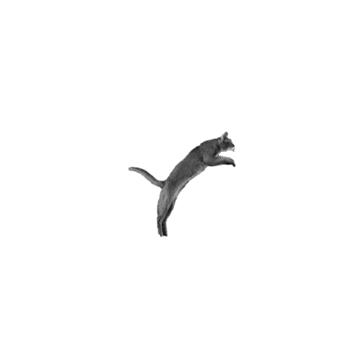 Stickybandits Sticker