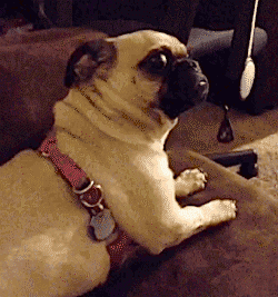 oh my god GIF