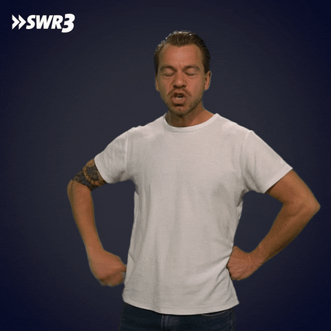 Face Facepalm GIF by SWR3