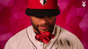 The Bachelor Love GIF by Indianapolis Indians