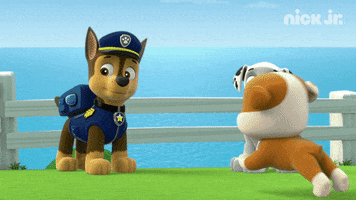 excited paw patrol GIF by Nick Jr