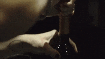 melotikamusic fun party drink cheers GIF
