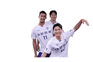 Jumbos Koreanair Sticker by kal_jbos