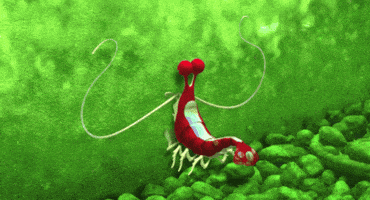 finding nemo lol GIF by Disney Pixar