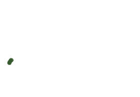 Flower Growing Sticker