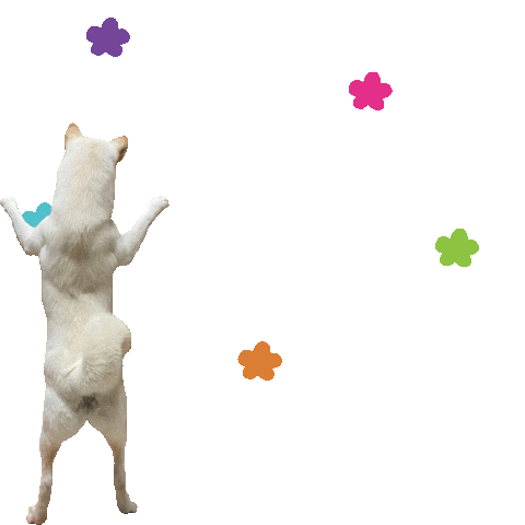Happy Dance Sticker