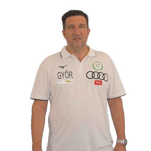 Handball Greenfamily Sticker by ETO
