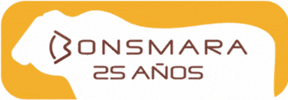 Campo Toro GIF by Bonsmara Argentina