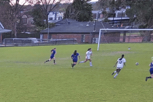 Ocsc GIF by Oldcamberwellsc