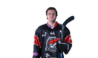Hokej Sticker by Piráti Chomutov