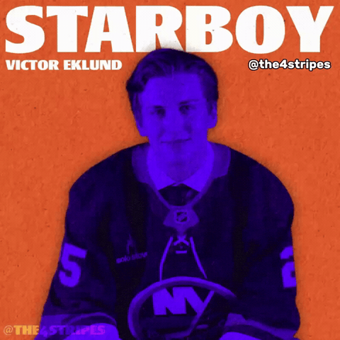 New York Islanders Hockey GIF