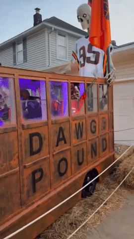 Cleveland Browns Nfl GIF by Storyful