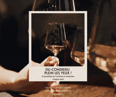 Vienne Condrieu Tourisme GIF