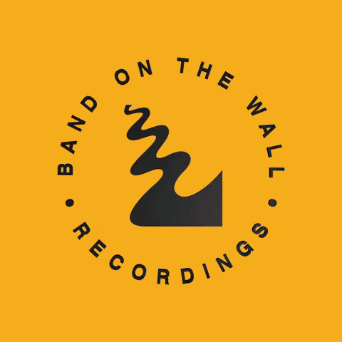 bandonthewallrecs GIF