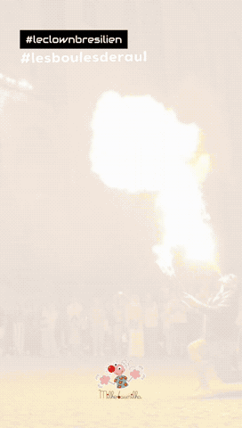 France Fire GIF