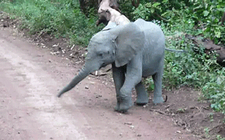source.gif