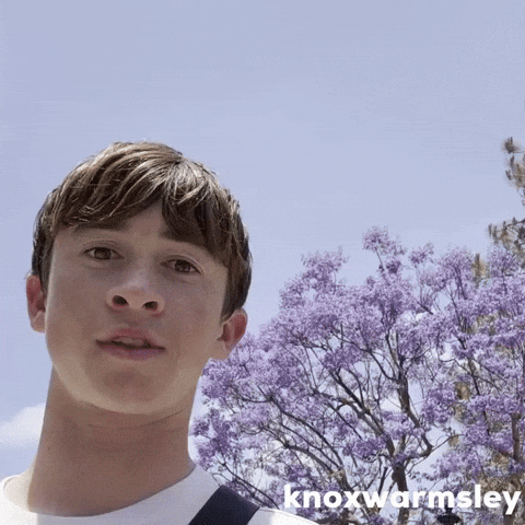 Knoxwarmsley GIF