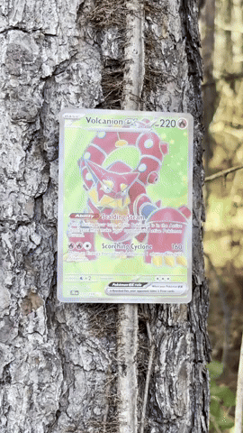 Destroy Pokemon Battle GIF