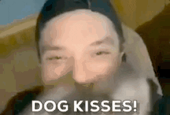 PopCultureWeekly funny dog dog kisses kyle mcmahon pop culture weekly GIF