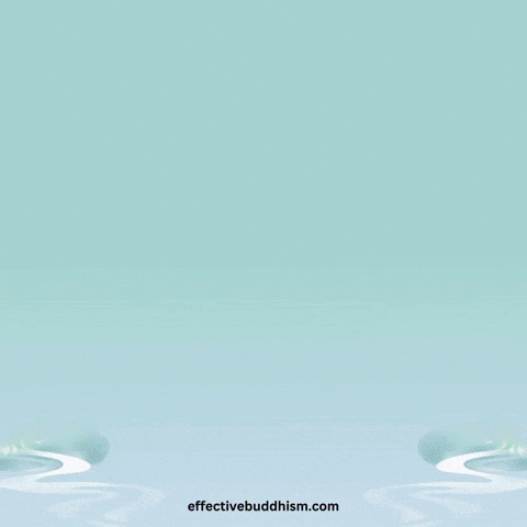 Effective Buddhism GIF